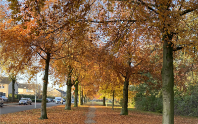 Un remolino en mi cabeza