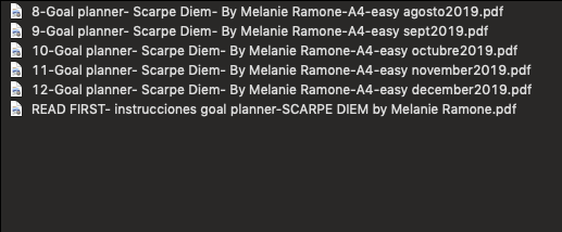 GOAL MONTHLY PLANNER- SCARPE DIEM - AGOSTO a DICIEMBRE 2019 - Image 4